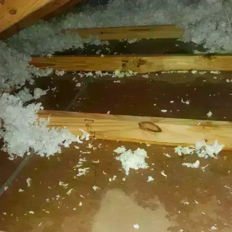 Attic Water Damage in Foothill Ranch, CA